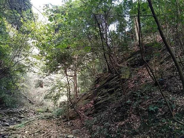 长江源村：乡村振兴又多一把“金钥匙”